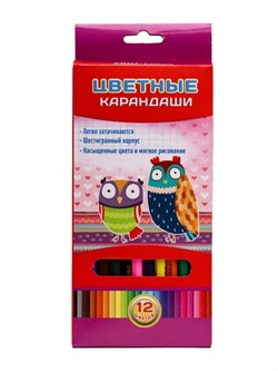 Карандаши цветные 12 цветов "Совы" K-7025/PK - фото 12059614