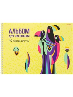 Альбом для рисования А4 40л. РАЗНОЦВЕТНЫЕ ПТИЧКИ гребень, офсет 40-5130/РК - фото 12158804