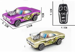 Машинка на радиоуправлении в ассортименте Y25378050