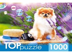 TOPpuzzle. ПАЗЛЫ 1000 элементов. Шпиц в саду ШТТП1000-9859/РК