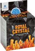 Научно-познавательный набор для проведения опытов "Royal Crystal" 516/И