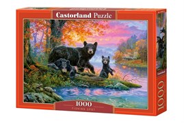 Puzzle-1000 "Медведи на рыбалке" C-104727